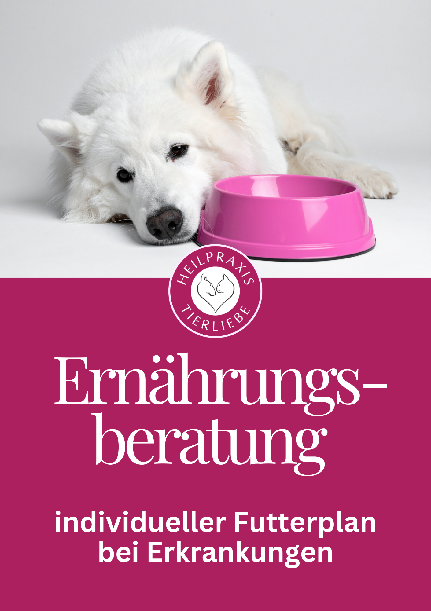 Ernährungsberatung für Hund und Katze individueller Futterplan bei Erkrankungen – Tierheilpraxis und Ernährungsberatung Heilpraxis Tierliebe