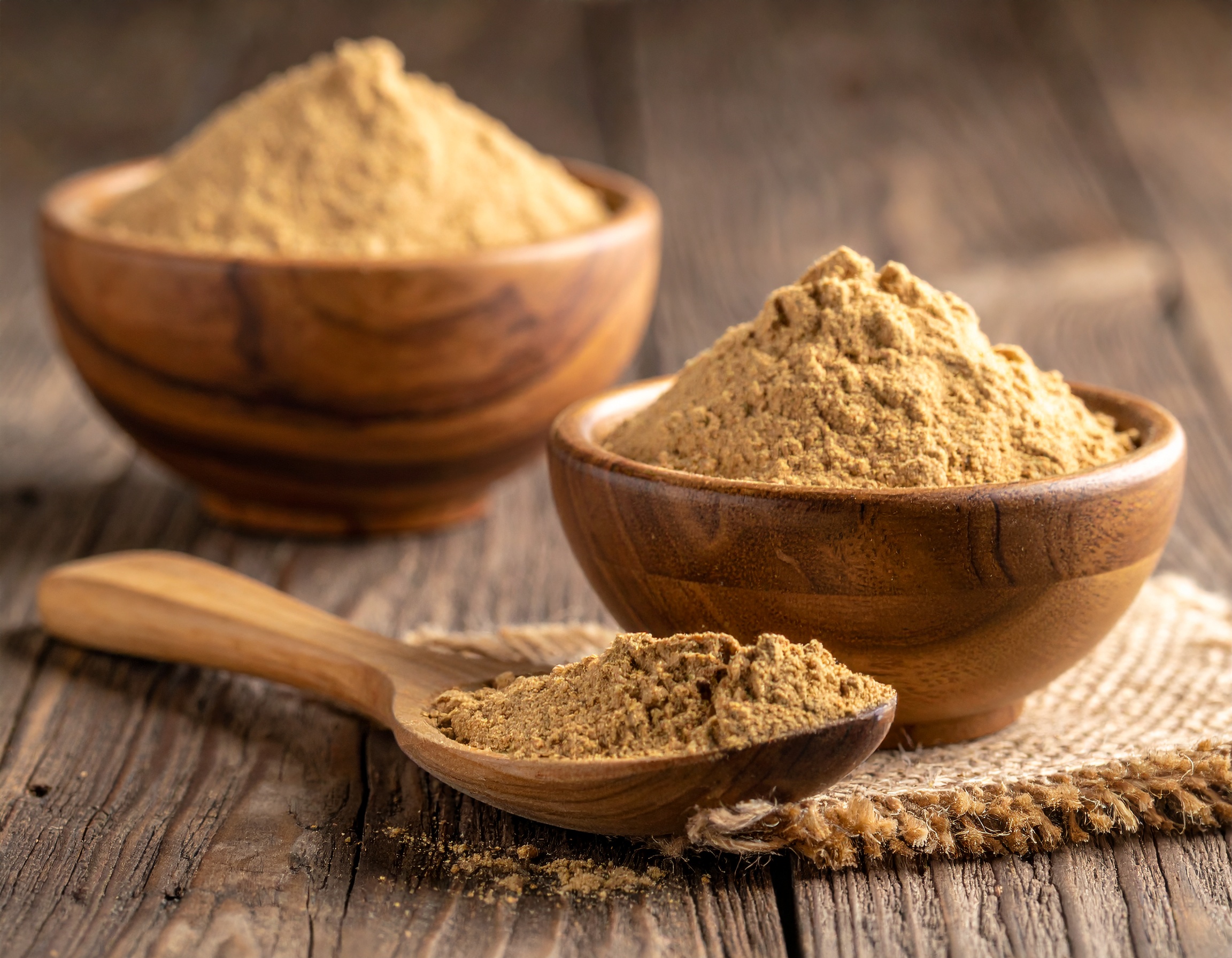 Ulmenrinde Unterstützung für Hunde und Katzen – Natürliche Unterstützung durch die Ernährungsberatung Heilpraxis Tierliebe