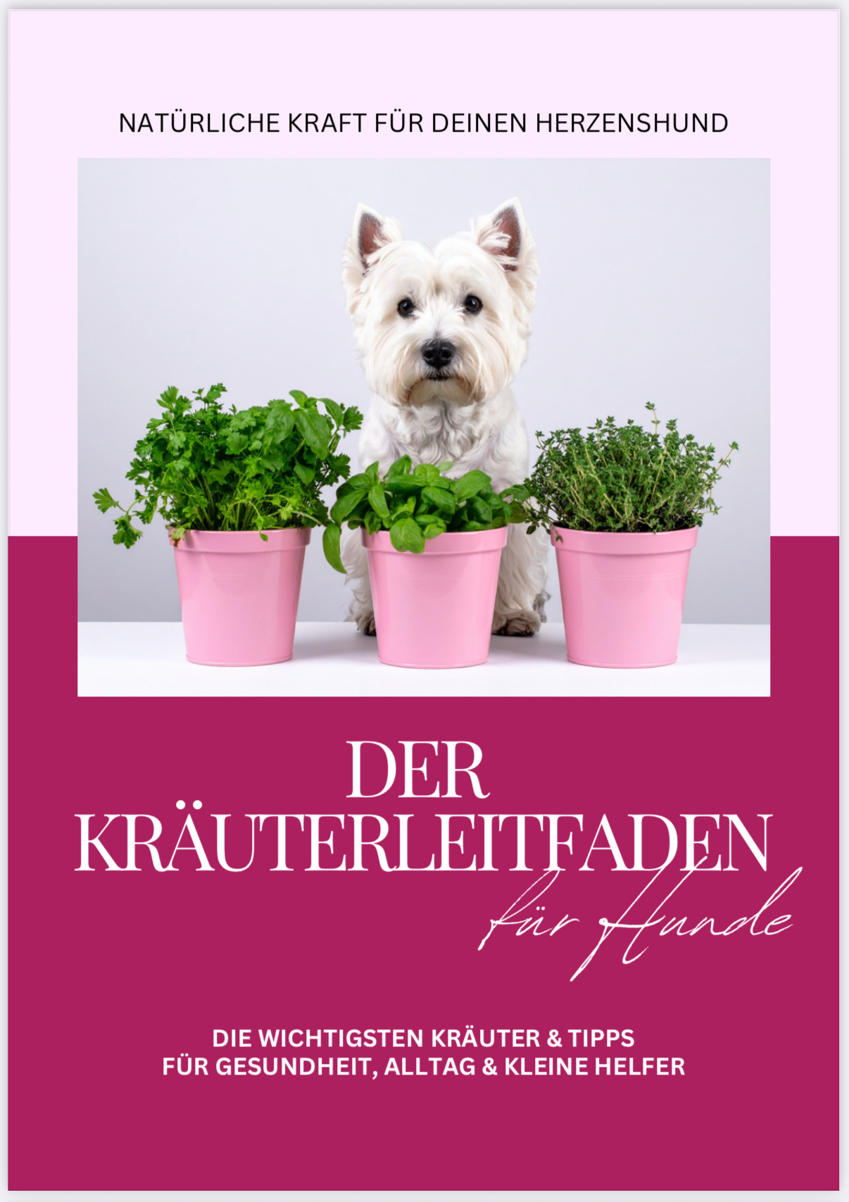 E-Guide zum Download: Kräuterleitfaden