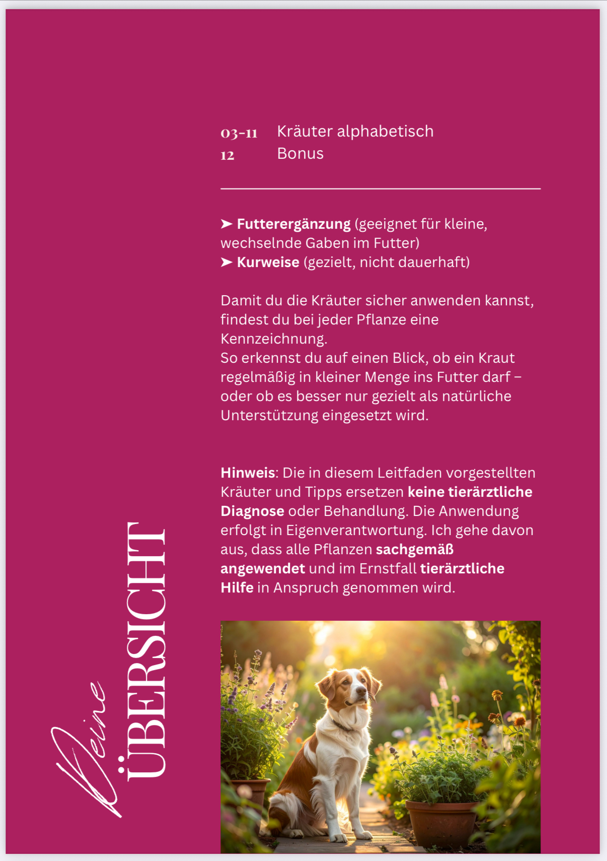 E-Guide zum Download: Kräuterleitfaden – Bild 2
