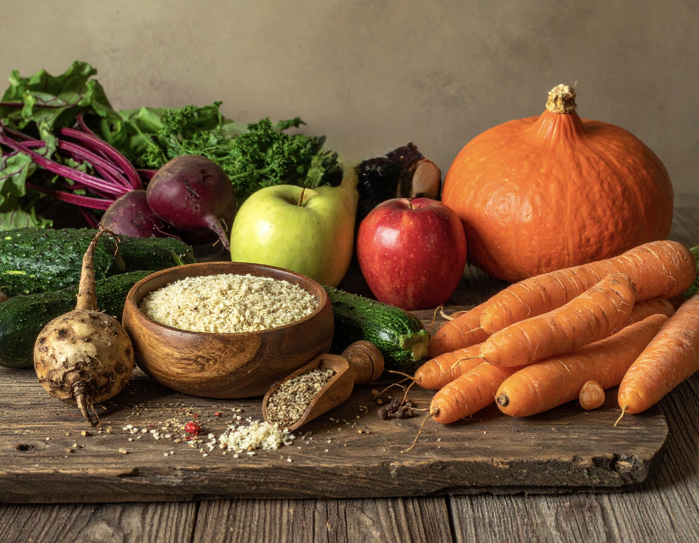 Ballaststoffreiche Lebensmittel für Hund und Katze wie Kürbis, Zucchini, Karotten, Äpfel und Salat, ergänzt durch pflanzliche Ballaststoffquellen zur Unterstützung von Darmgesundheit und Verdauung