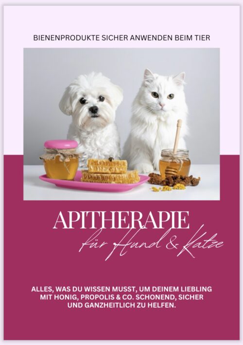Bienenprodukte sicher anwenden bei Hund & Katze