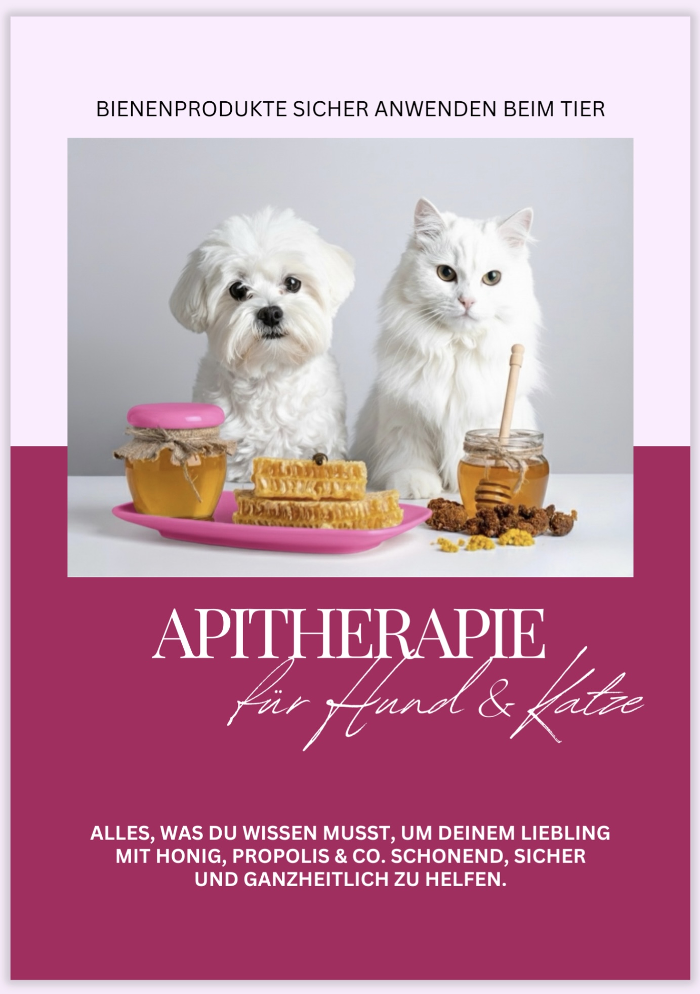 Bienenprodukte sicher anwenden bei Hund & Katze