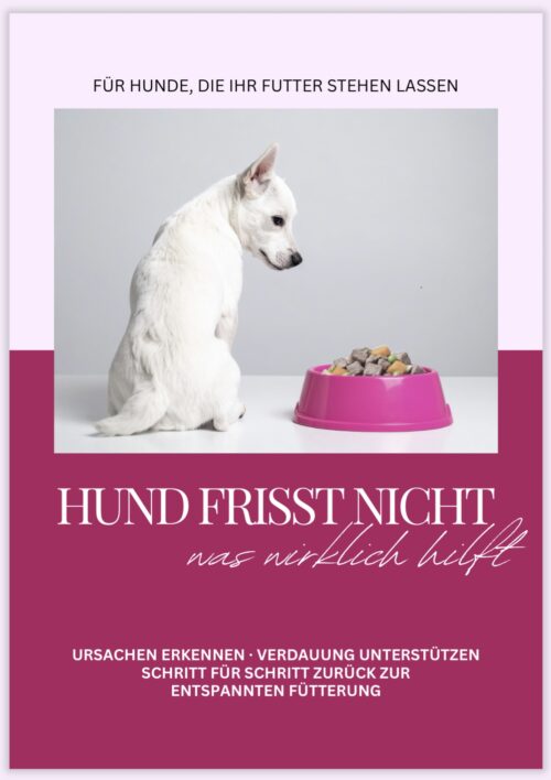 Hund frisst nicht was wirklich hilft