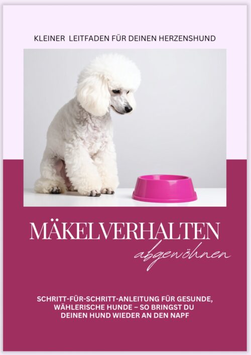 Mäkelverhalten Hund abgewöhnen