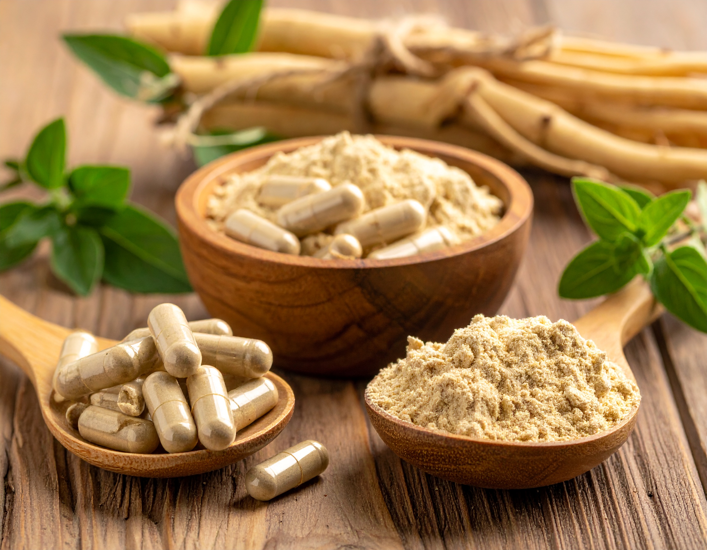 ashwagandha-hund-katze-entspannung-naturheilkunde Ein entspannter Hund und eine ruhige Katze neben einer Ashwagandha-Wurzel als Symbol für pflanzliche Stresshilfe.