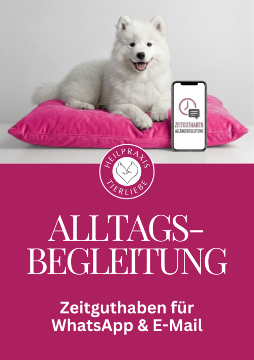 Alltagsbegleitung für Hund und Katze. Zeitguthaben für WhatsApp und E-Mail. Tierheilpraxis und Ernährungsberatung Heilpraxis Tierliebe