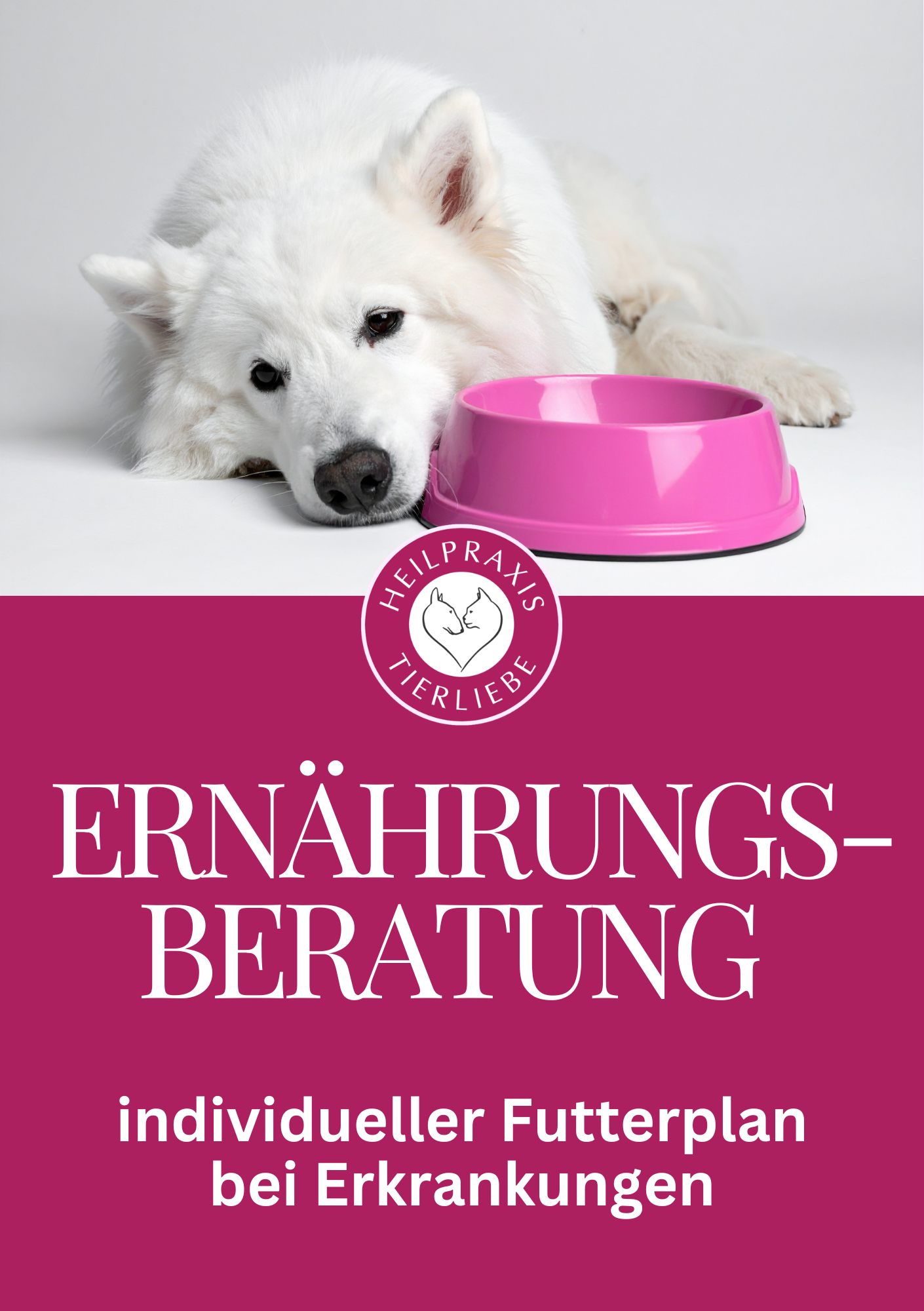 Ernährungsberatung für Hund und Katze individueller Futterplan bei Erkrankungen – Tierheilpraxis und Ernährungsberatung Heilpraxis Tierliebe